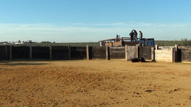Toros desde La Petatera 2